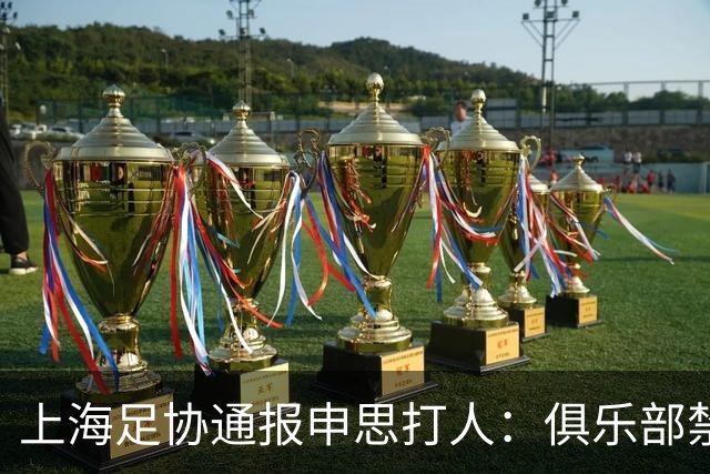 上海足协通报申思打人：俱乐部禁止注册新球员6个月，罚款两万！