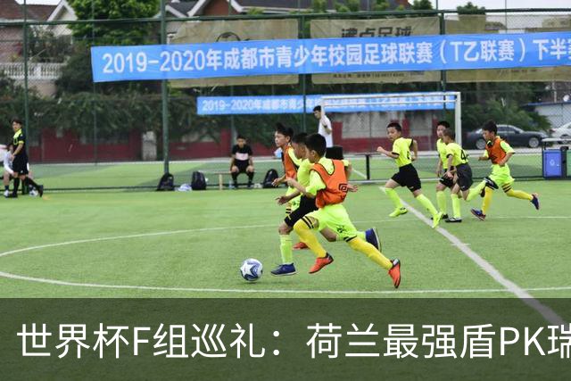 世界杯F组巡礼：荷兰最强盾PK瑞典犀利刀 日本短板明显
