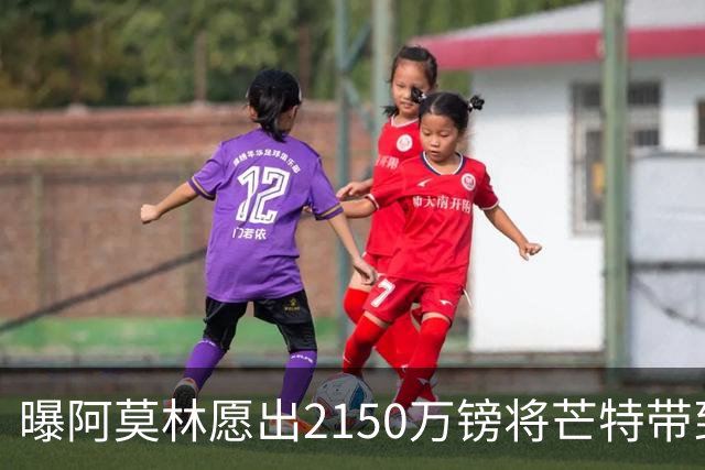 曝阿莫林愿出2150万镑将芒特带到米兰 曼联今夏无意出售