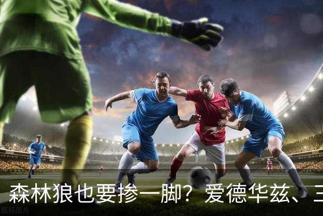 森林狼也要掺一脚？爱德华兹、三球联手招募，詹姆斯去向即将揭晓