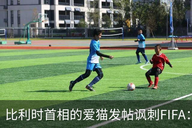 比利时首相的爱猫发帖讽刺FIFA：“红牌？”我照样继续踢！