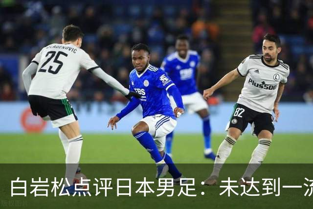 白岩松点评日本男足：未达到一流强队标准，仍需克服对荷兰的恐惧